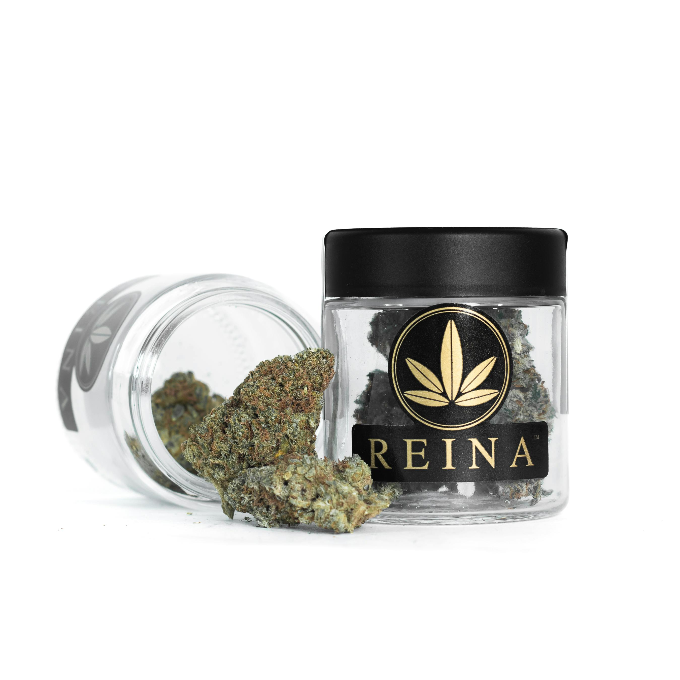 Photograph of product: Jungle Cake Whole Flower 3.5g
