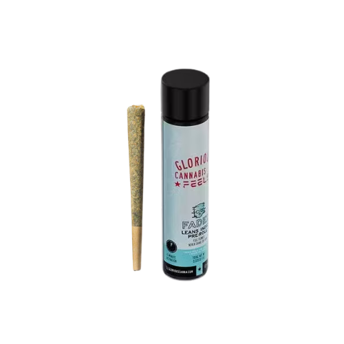 Photograph of product: Pancakes | Pre Roll | 1g (H)