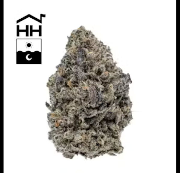 Photograph of product: Black Maple | Flower - 14g