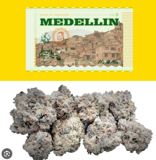 Photograph of product: Connoisseur Shelf Cookies Medellin (H) - 3.5g