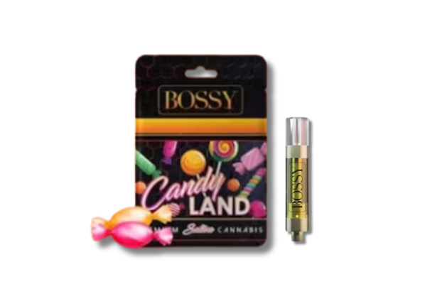 Photograph of product: CANDYLAND | CARTRIDGE