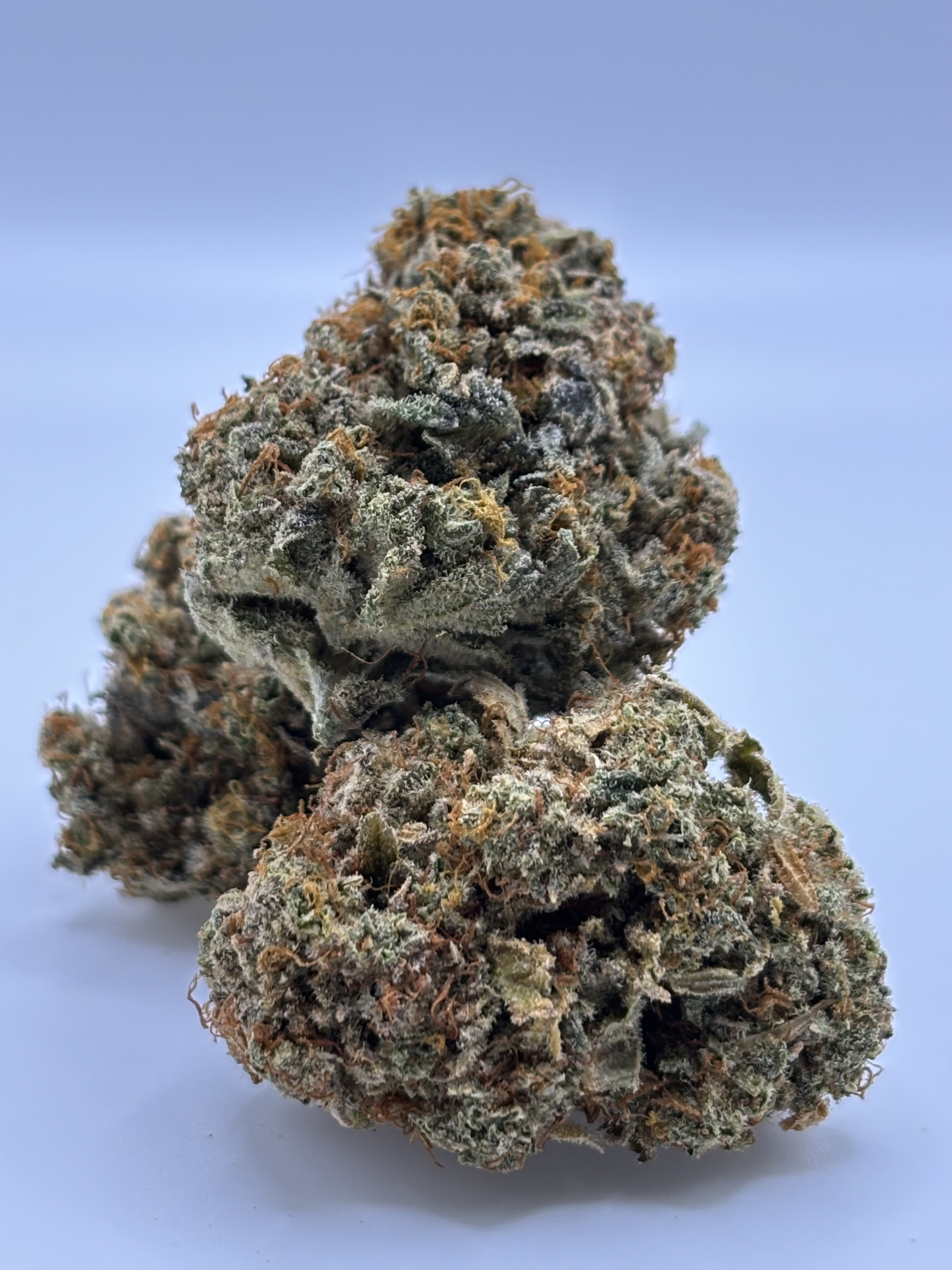 Photograph of product: Mimosa - 28g