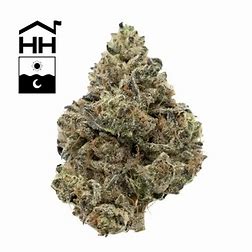 Photograph of product: Papaya Cake - 3.5g