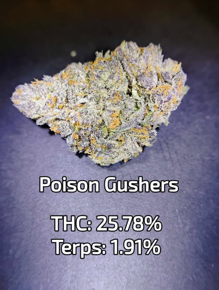 Photograph of Product: Poison Gushers $ /$100oz | Grow United - 1g