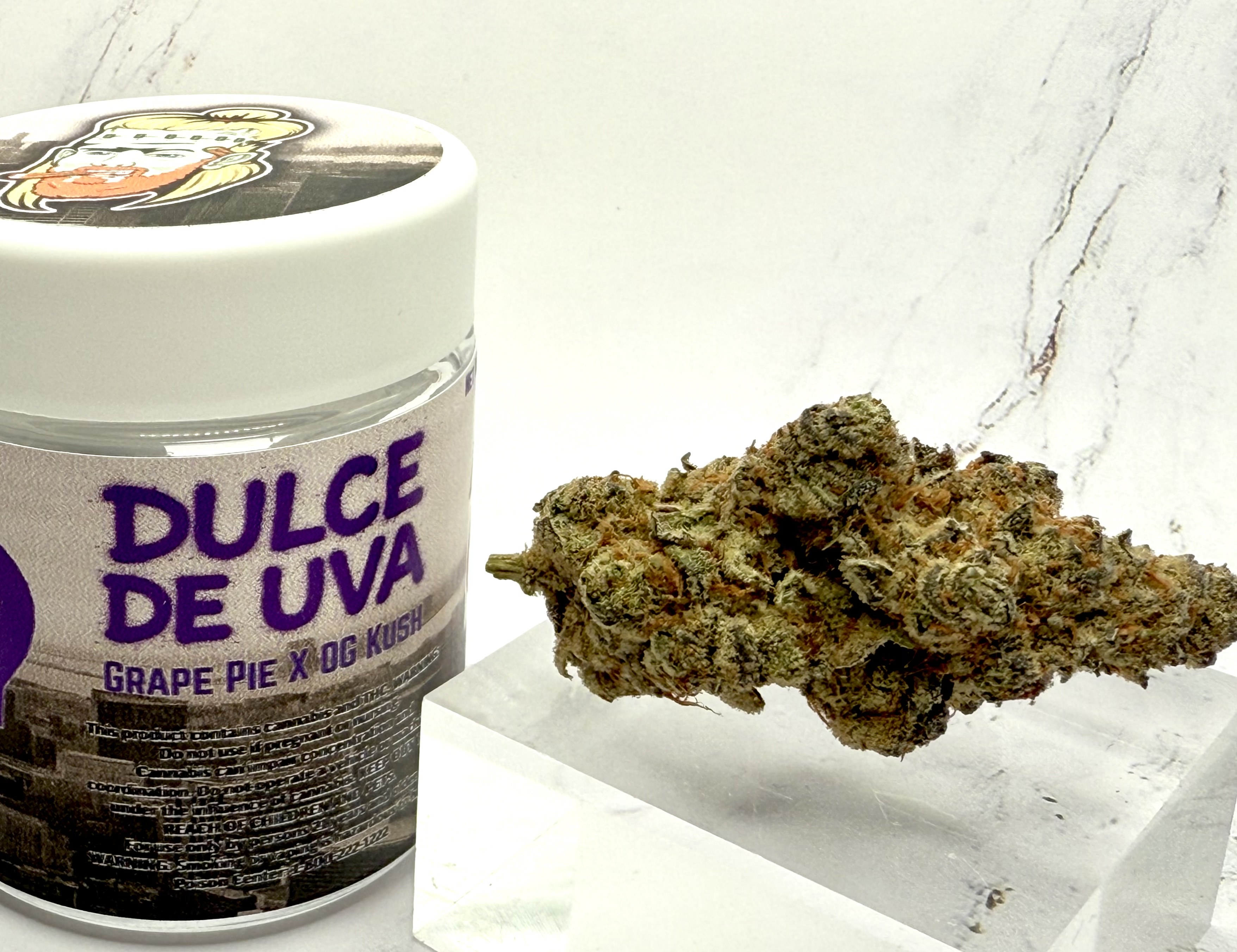 Photograph of product: NY Dankster - Dulce de Uva - Jar - 3.5g