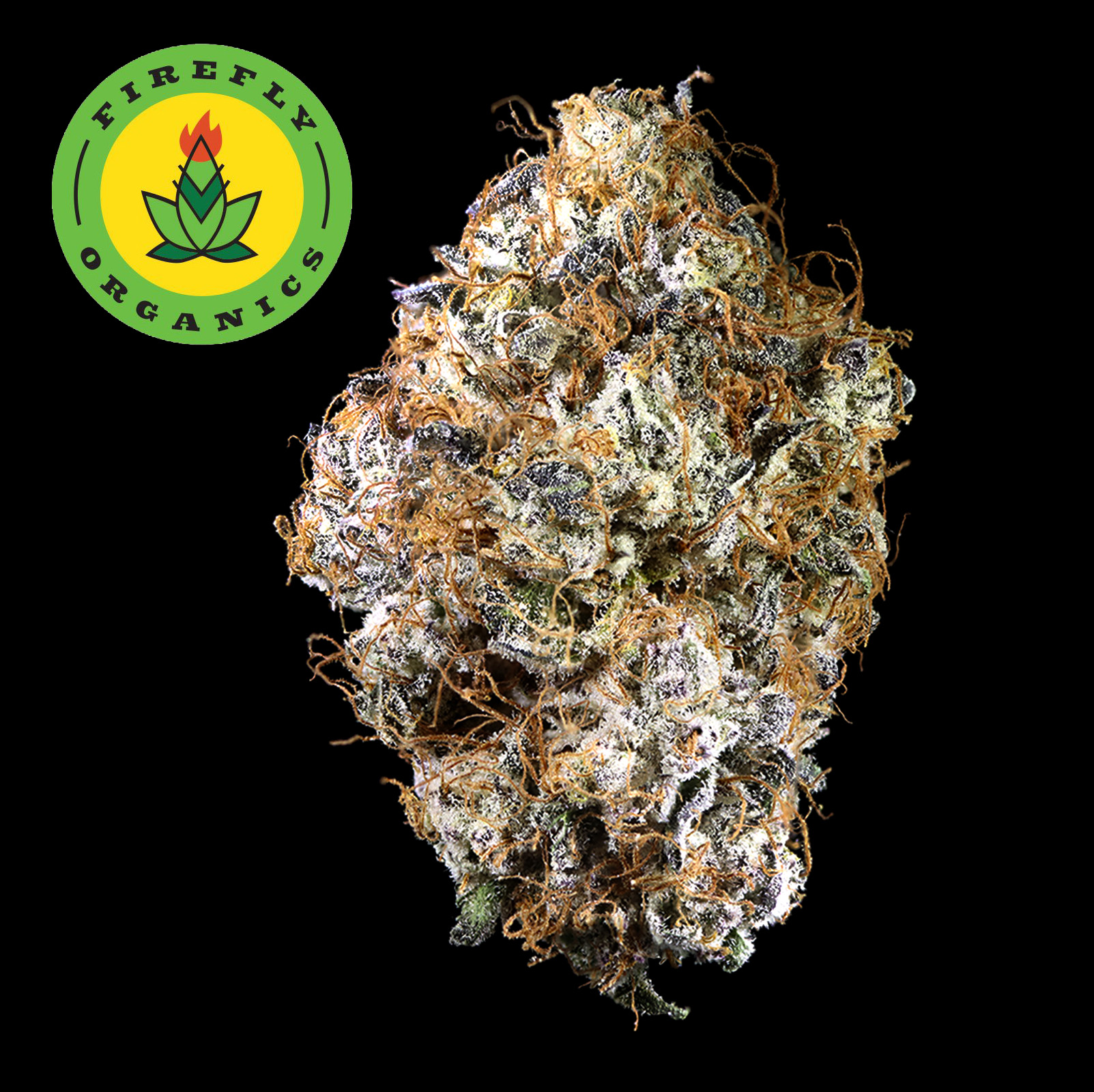 Photograph of product: Soap cultivated by Firefly Organics - 28g