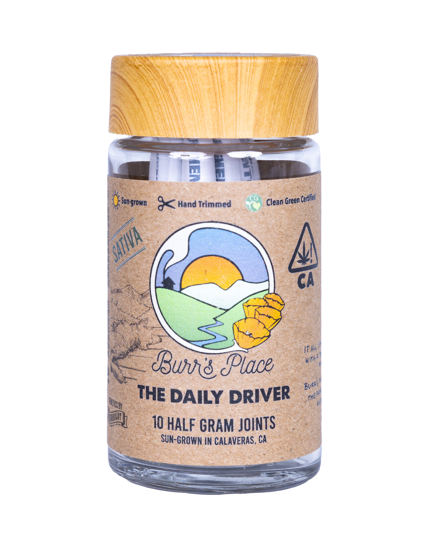 Photograph of product: THE DAILY DRIVER 10PK