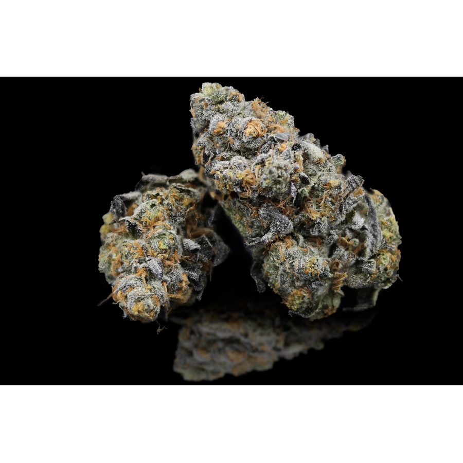 Photograph of product: Glacier Cookies - Bulk Flower - 28g