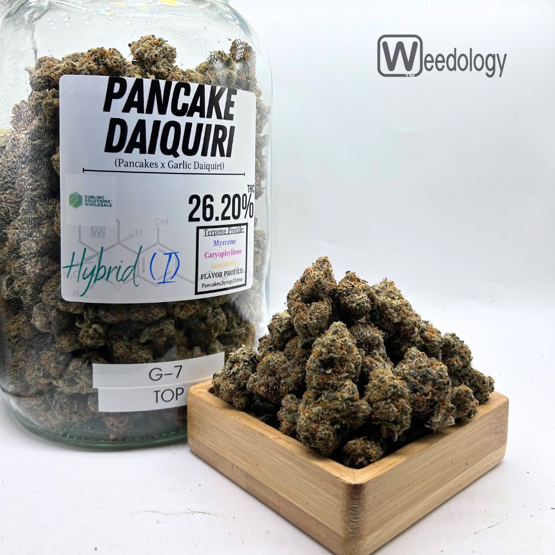 Photograph of product: Pancake Daiquiri (I-H) - 28g