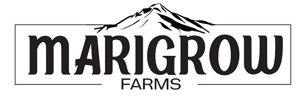 Photograph of product: MariGrow Farms Pre Roll | Lodi Dodi | Hybrid Oui'd