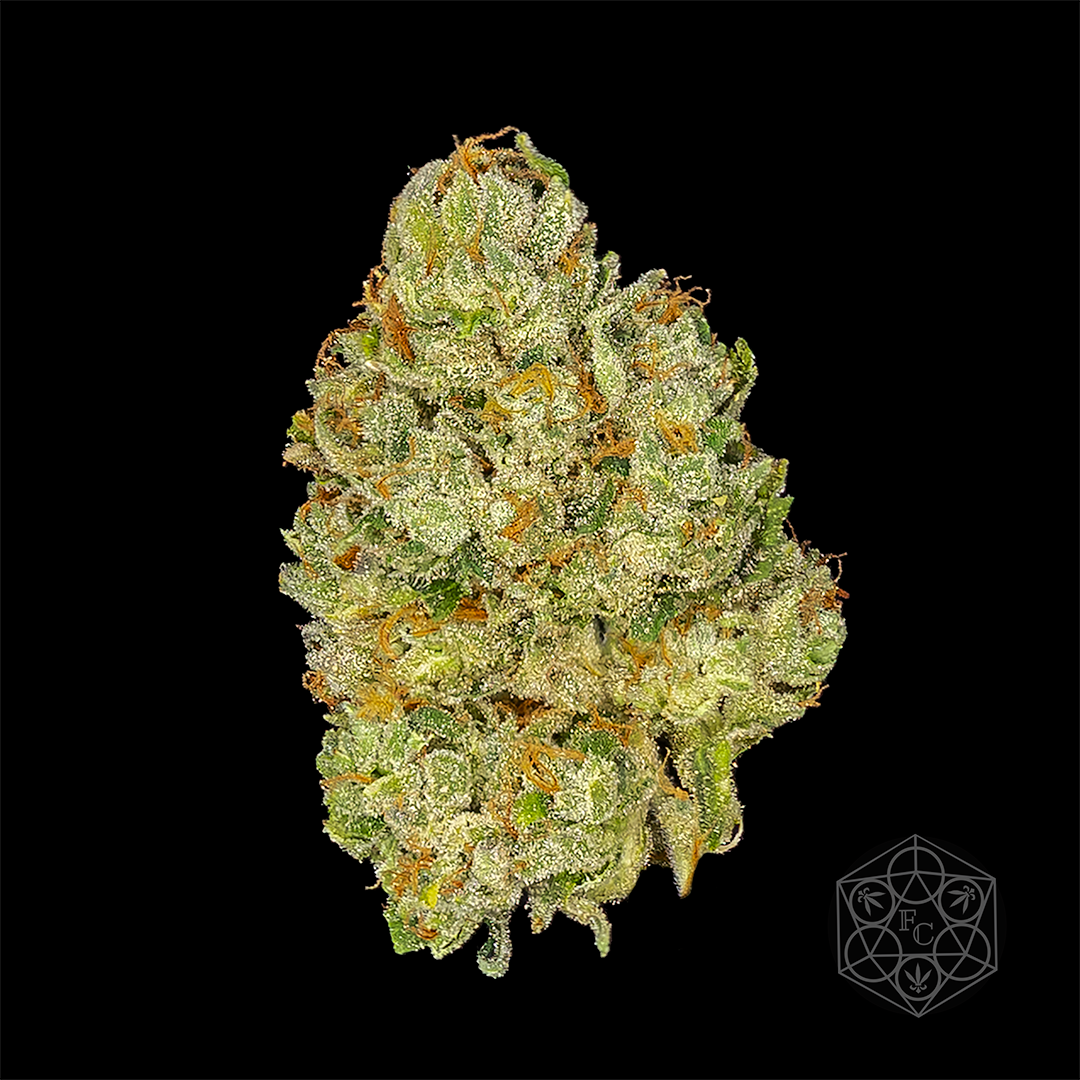 Photograph of product: Gas Leak | - 7g