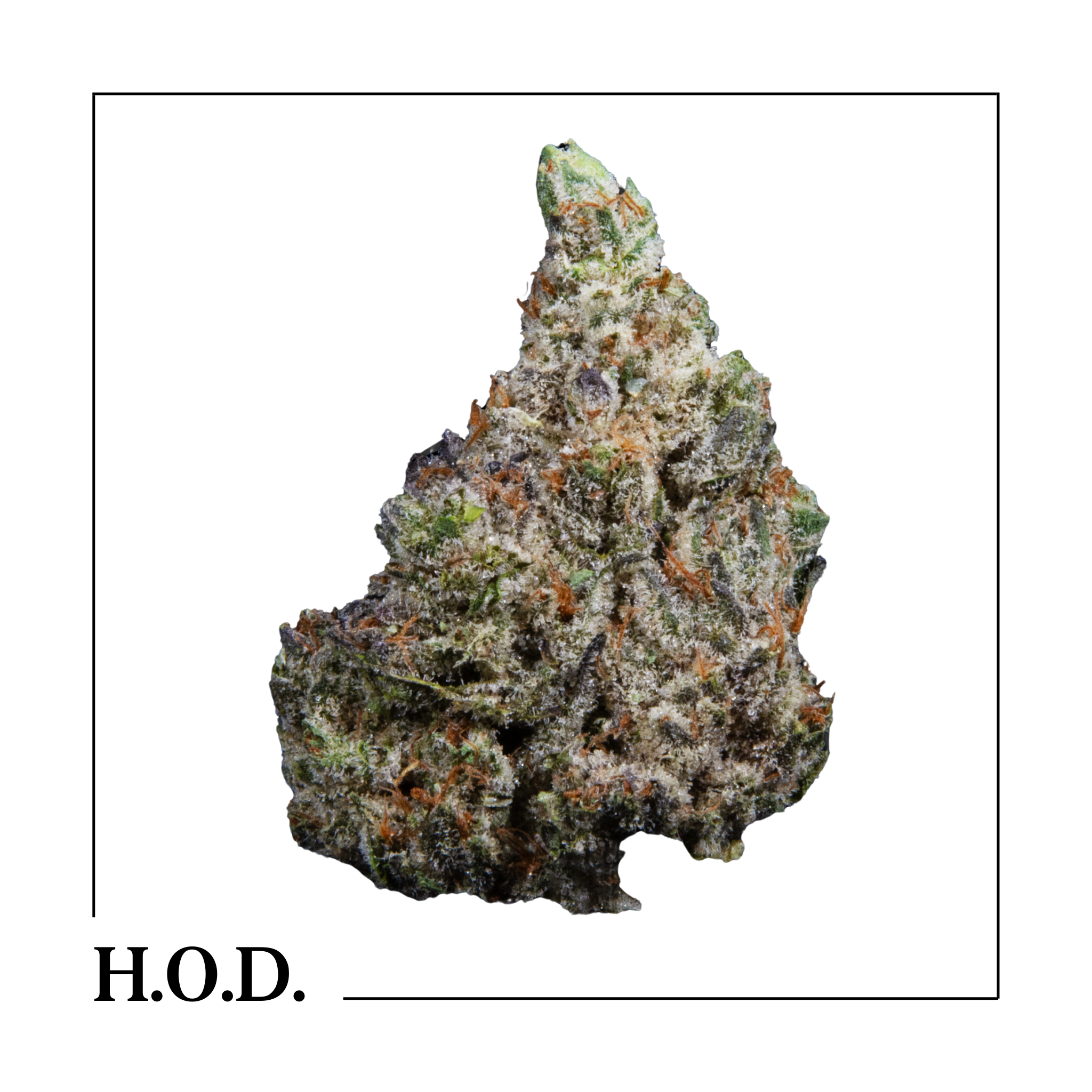 Photograph of product: Hytek Stank Breath - 1g