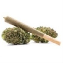 Photograph of product: TRIP > Pre Roll 1g > Hybrid > Gelato 41