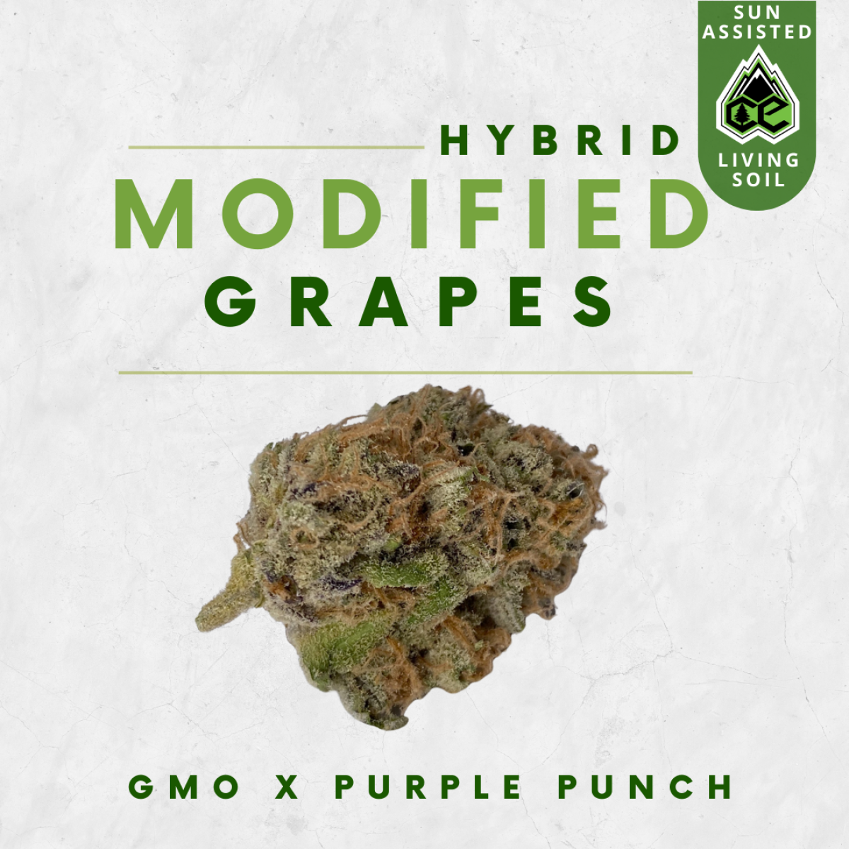 Photograph of product: Modified Grapes - 28g
