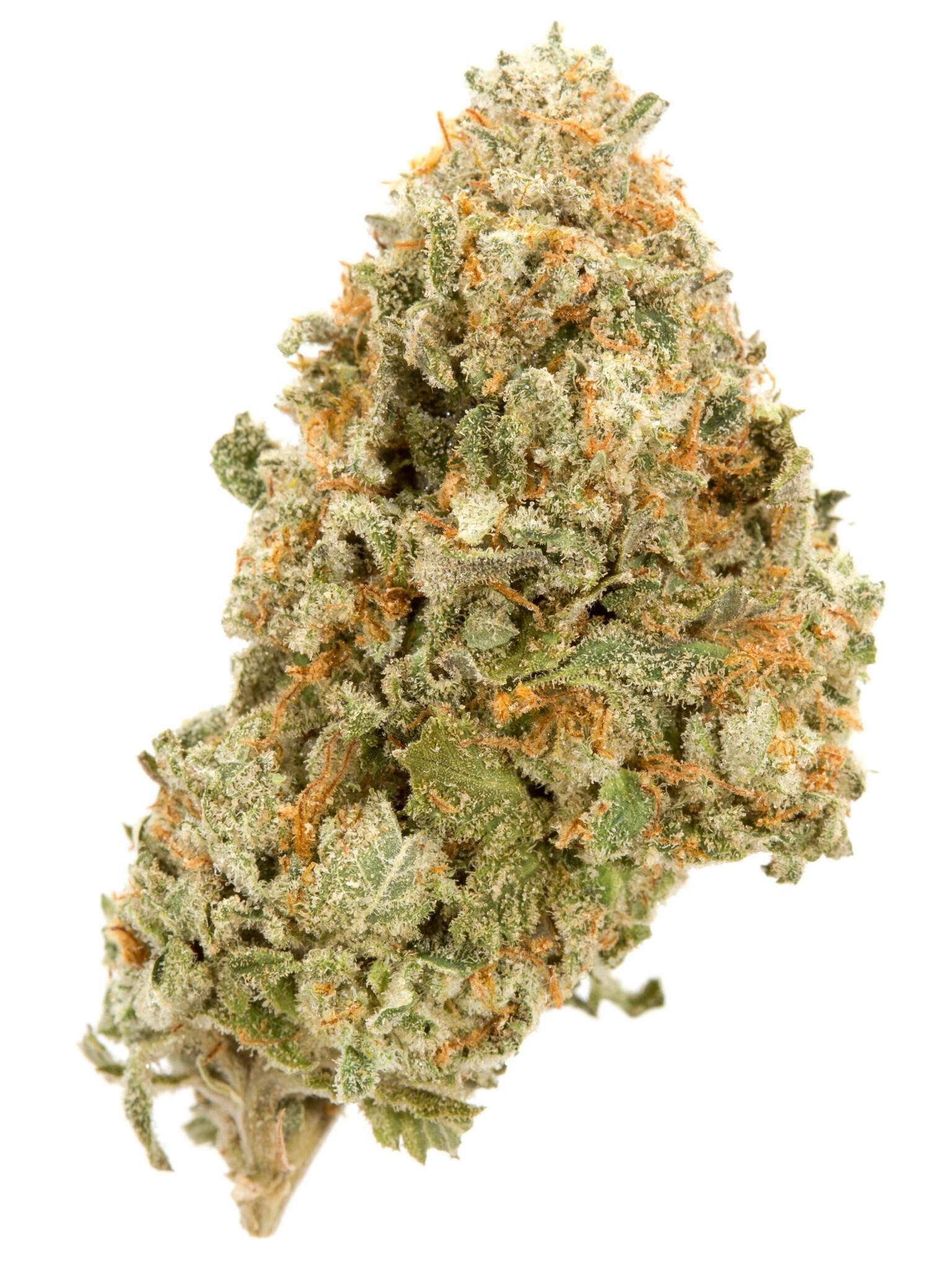 Photograph of product: RARE MICHIGAN GENETICS | NO BAKE - BULK | HYBRID - 1g