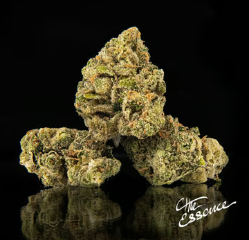 Photograph of product: Gelato | Flower | 3.5g