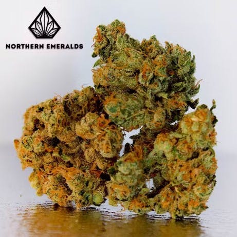 Photograph of product: Northern Emeralds - Caramel Apple Romulan  - 5g - 5g