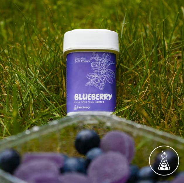 Photograph of product: Blueberry Fast Acting Oui'd Gummies 100mg/20pc