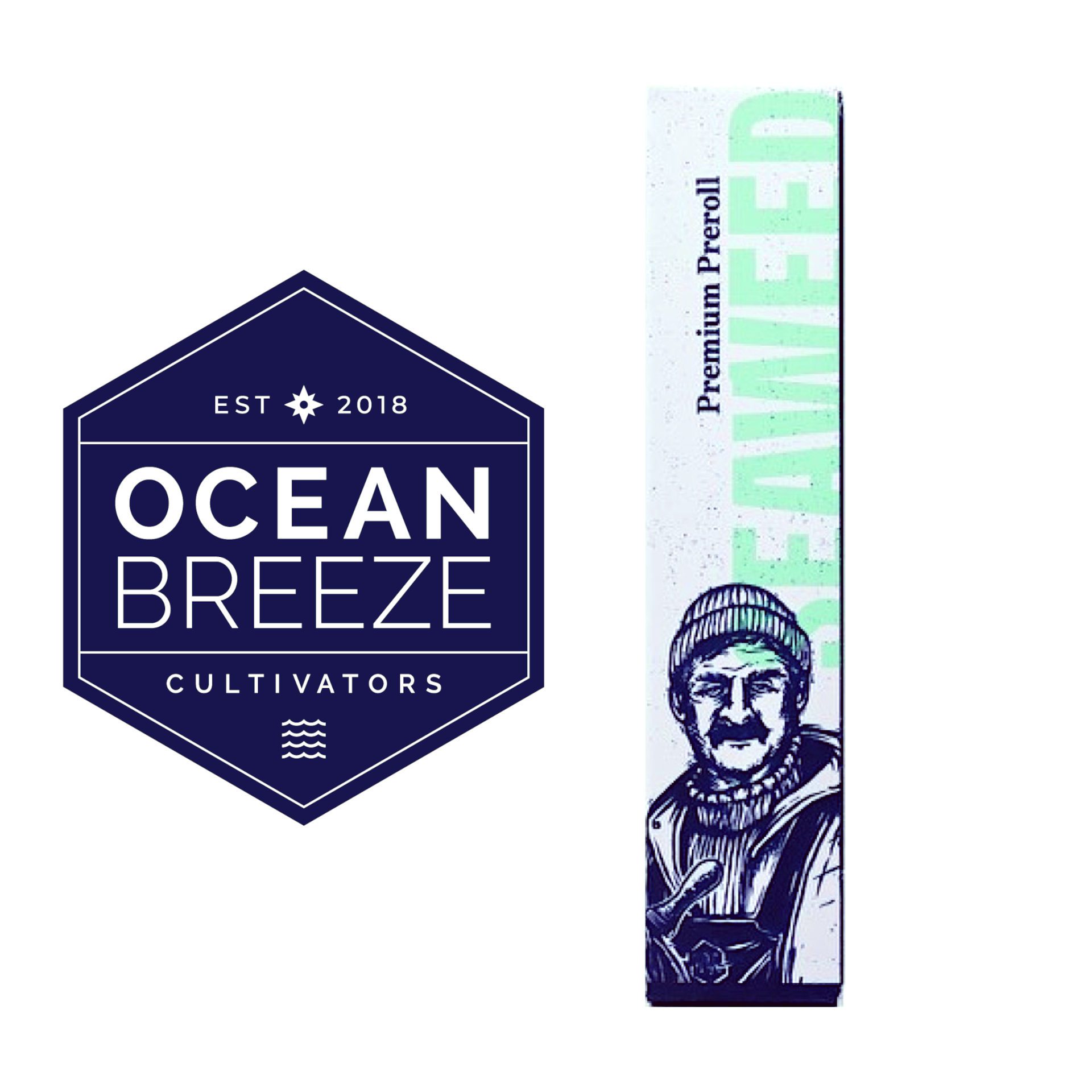 Photograph of product: Gas Face Pre-Roll | 1g - Ocean Breeze