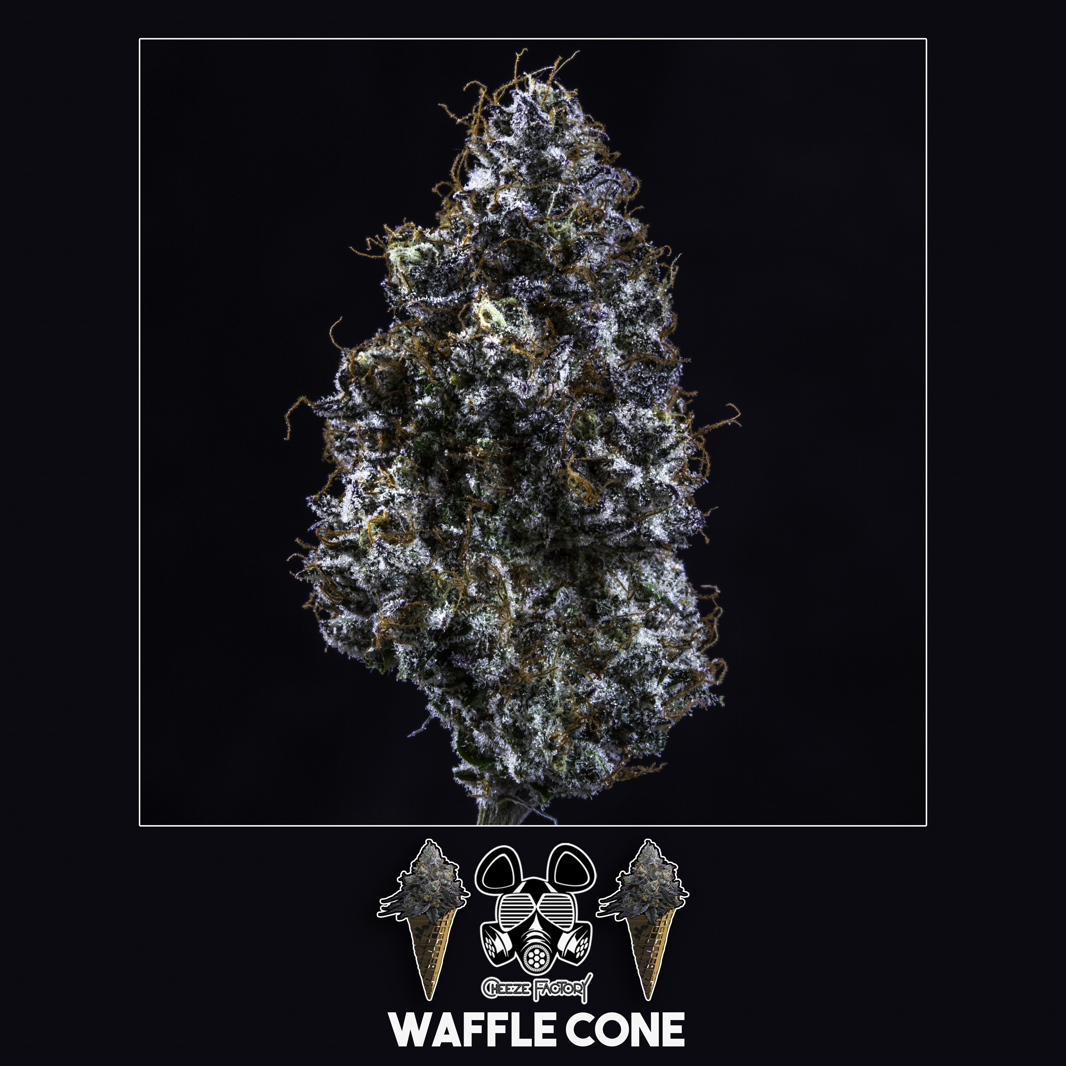 Photograph of product: Waffle Cone - 28g