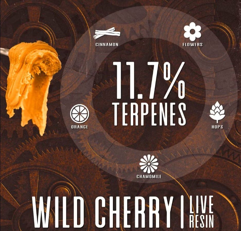 Photograph of product: REDEMPTION | WILD CHERRY | LIVE RESIN | 1G