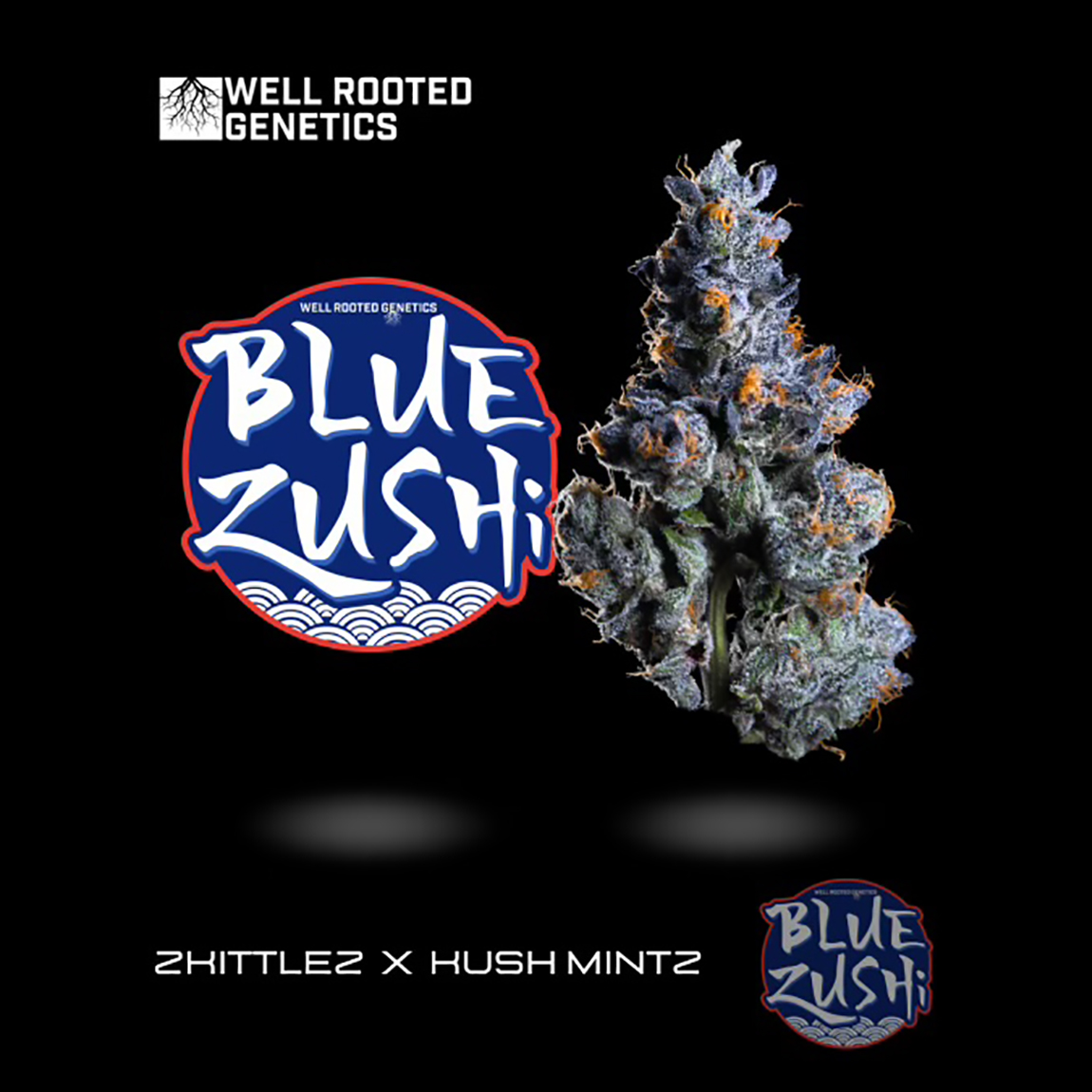 Photograph of product: Well Rooted | Blue Zushi | 3.5g
