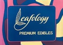 Photograph of product: Leafology Mango Lemonade 1:1 TH-oui:CBD Multi-dose Gummies