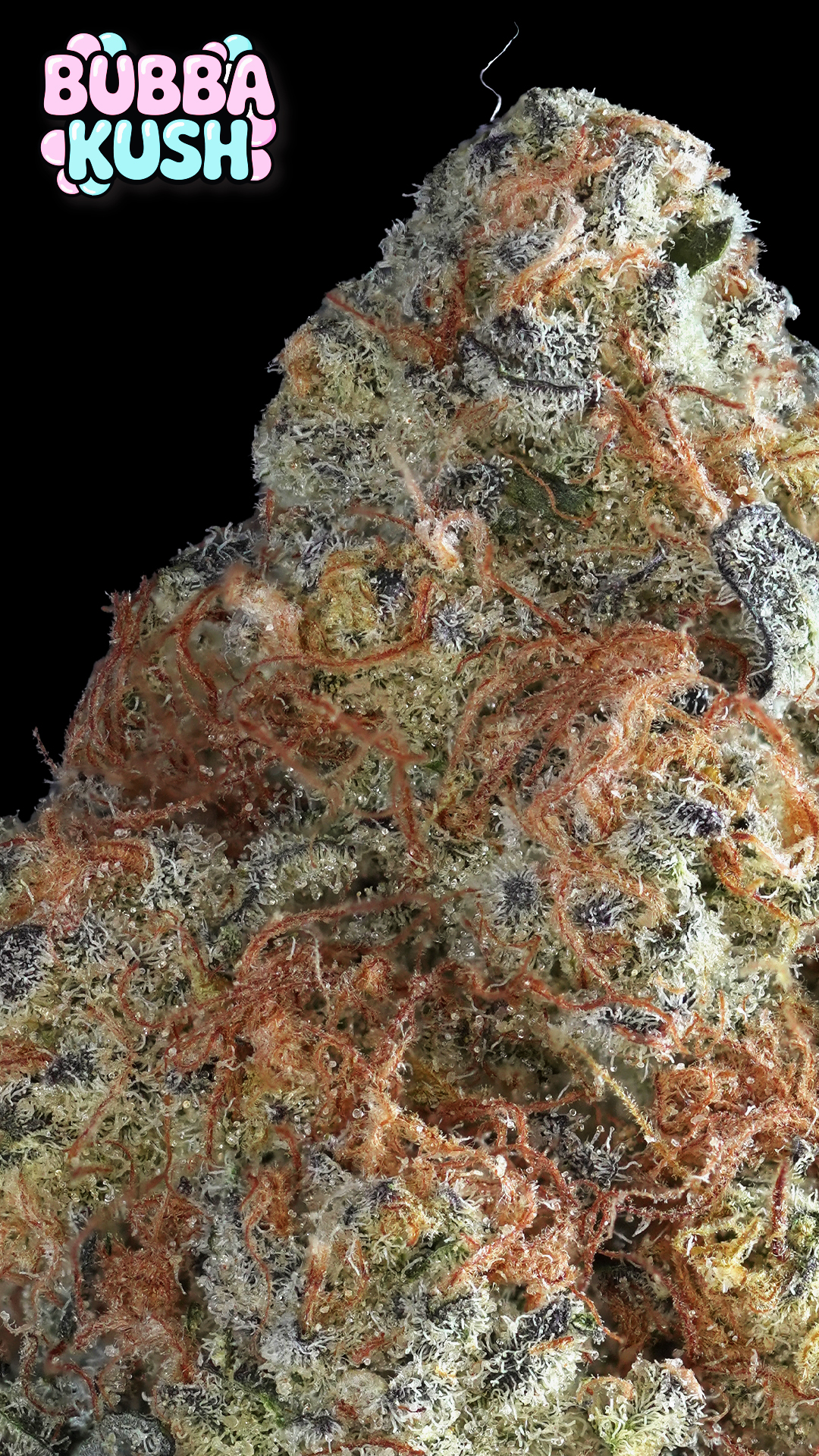 Photograph of product: Prolific Growhouse Bubba Kush 3.5g