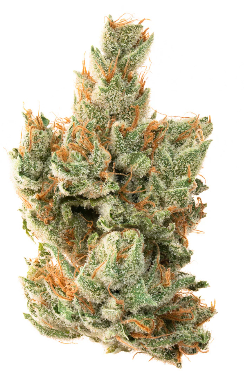 Photograph of product: Pruf Cultivar Kosher Kush - 28g