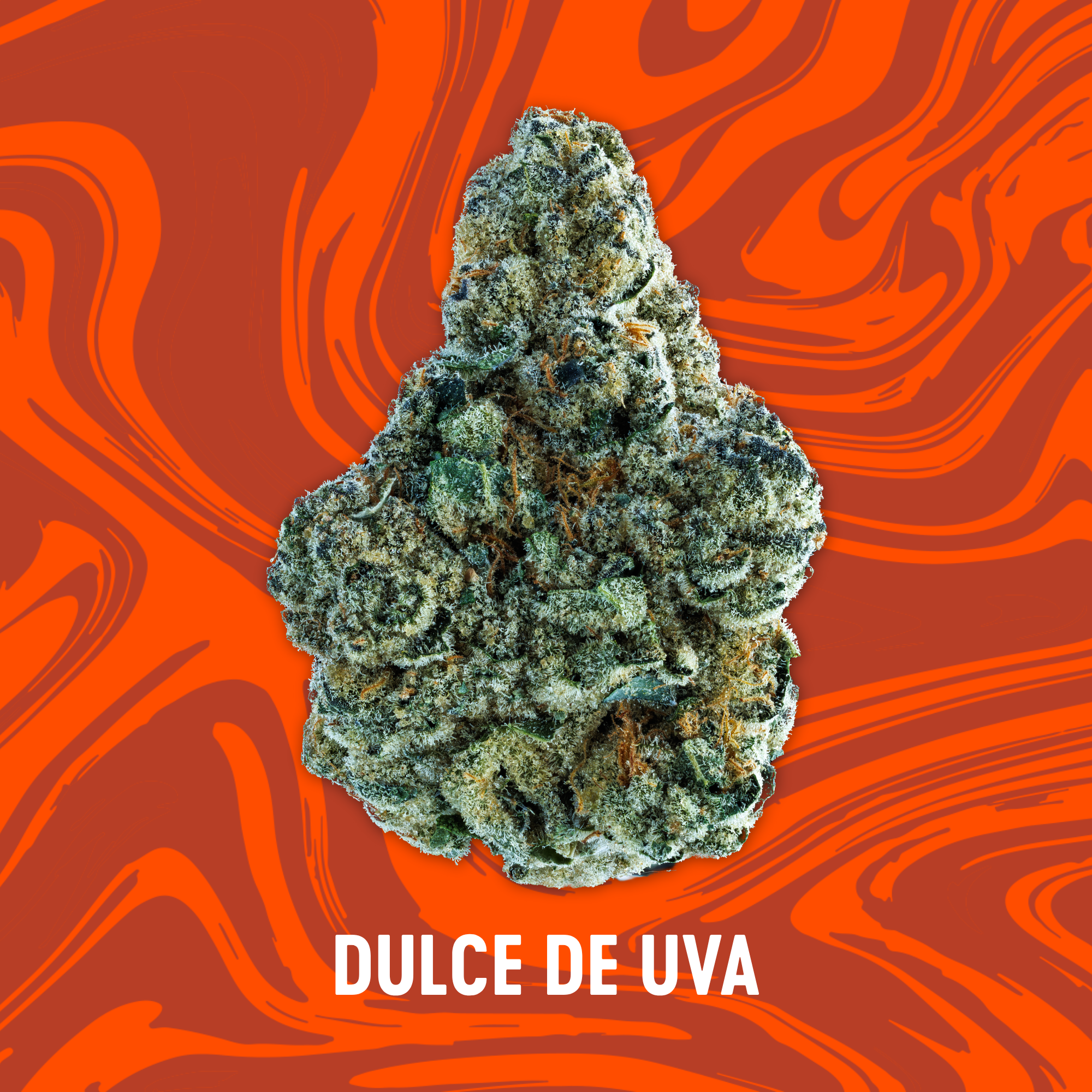 Photograph of product: Vivid - Dulce de Uva - Deli Flower - 84g