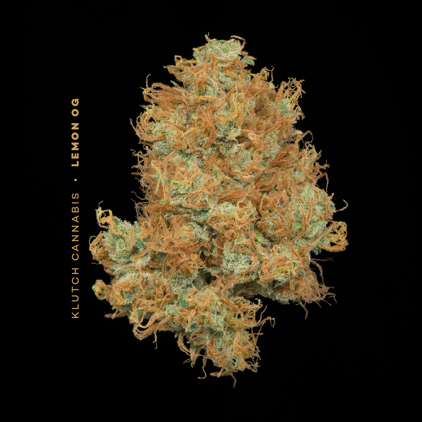 Photograph of product: | Lemon OG | - 2.83g