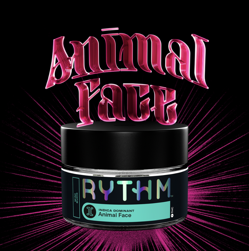 Photograph of product: RYTHM ANIMAL FACE POPCORN - 28g