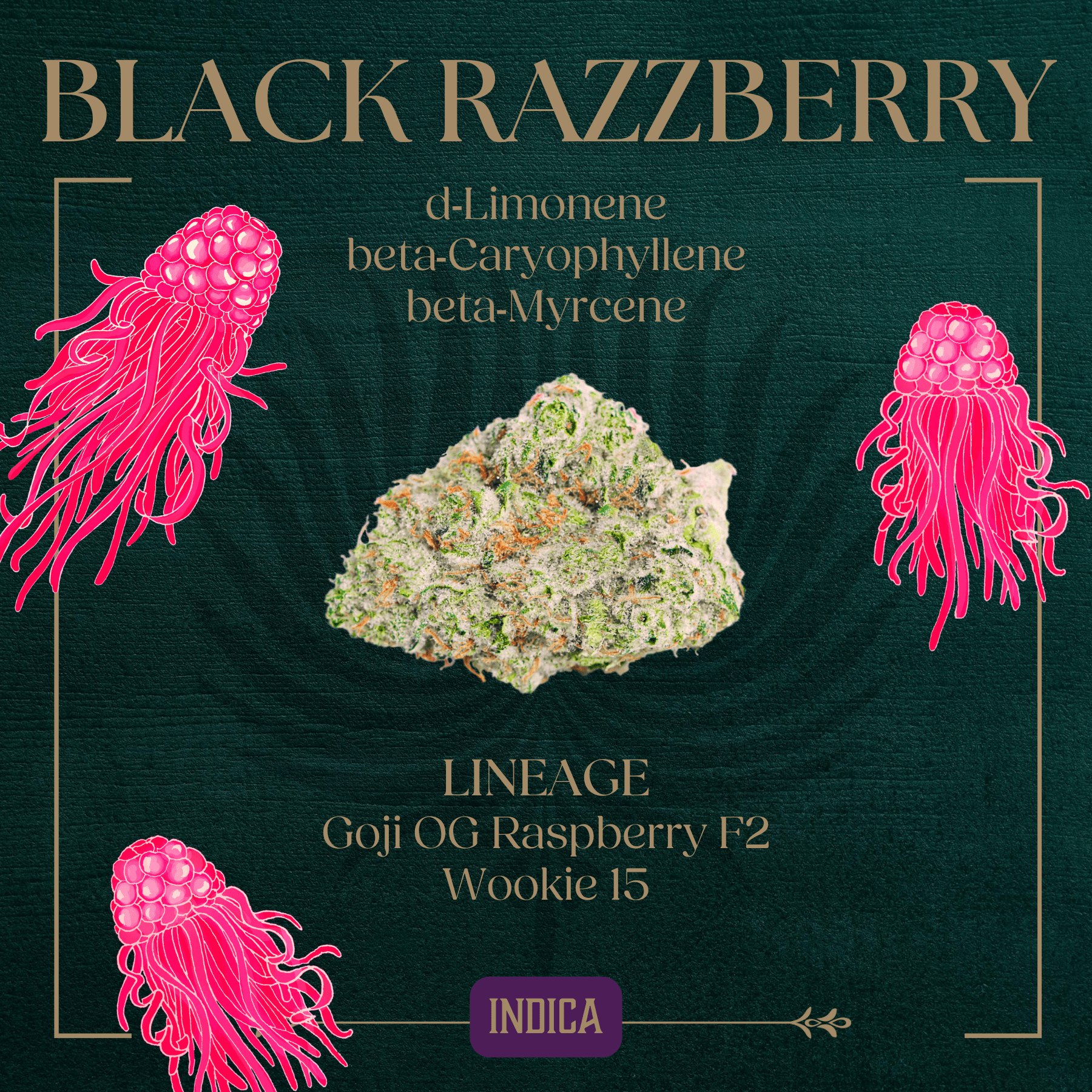 Photograph of product: Black Razzberry Flower | 3.5g