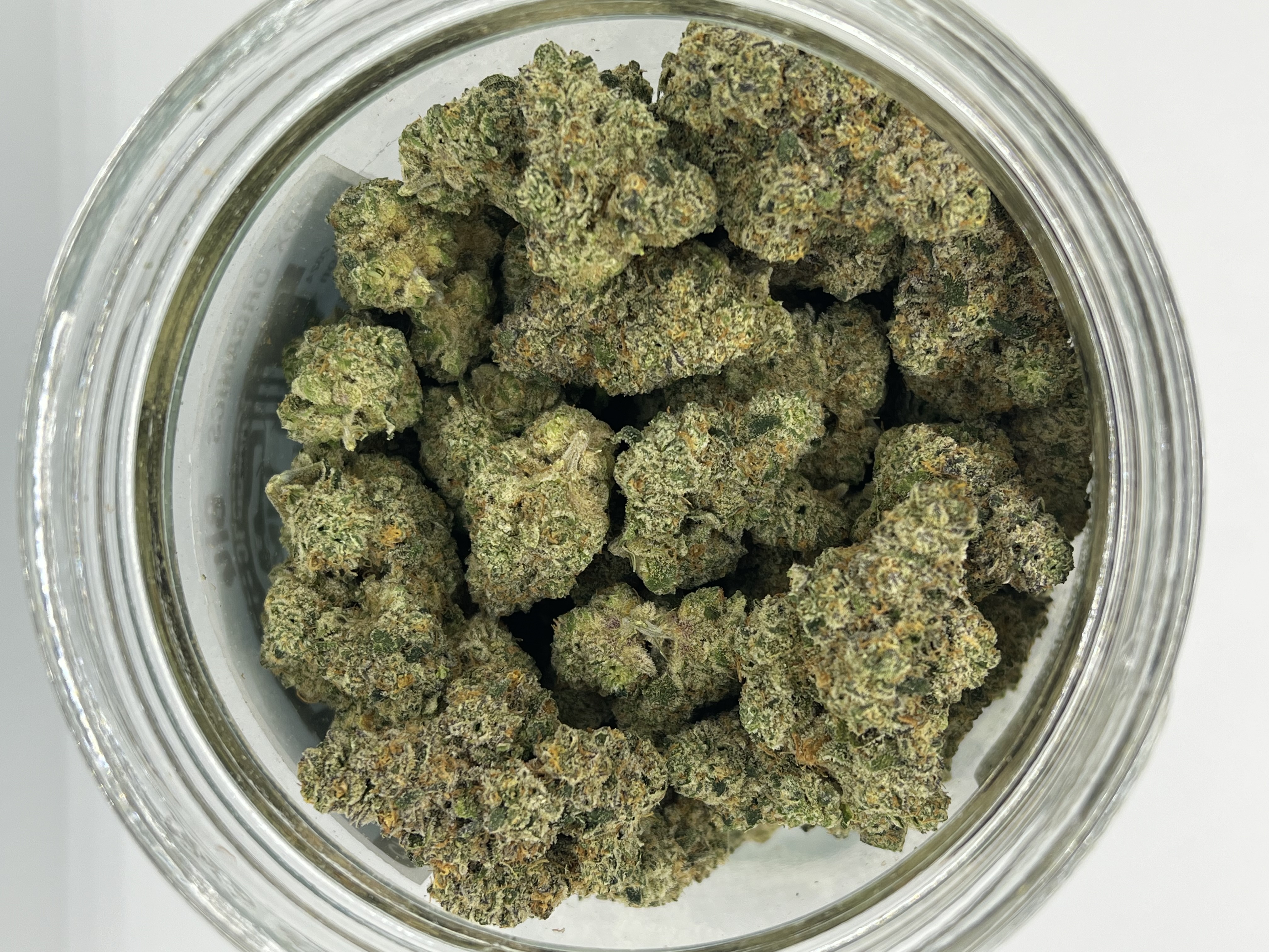 Photograph of product: Trash Panda | Harvested: 03/04/2025 - 14g