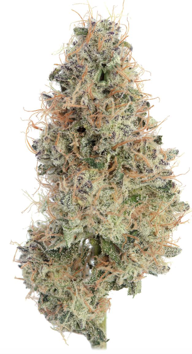 Photograph of product: au chocolat Burger - 3.5g - Happy Valley