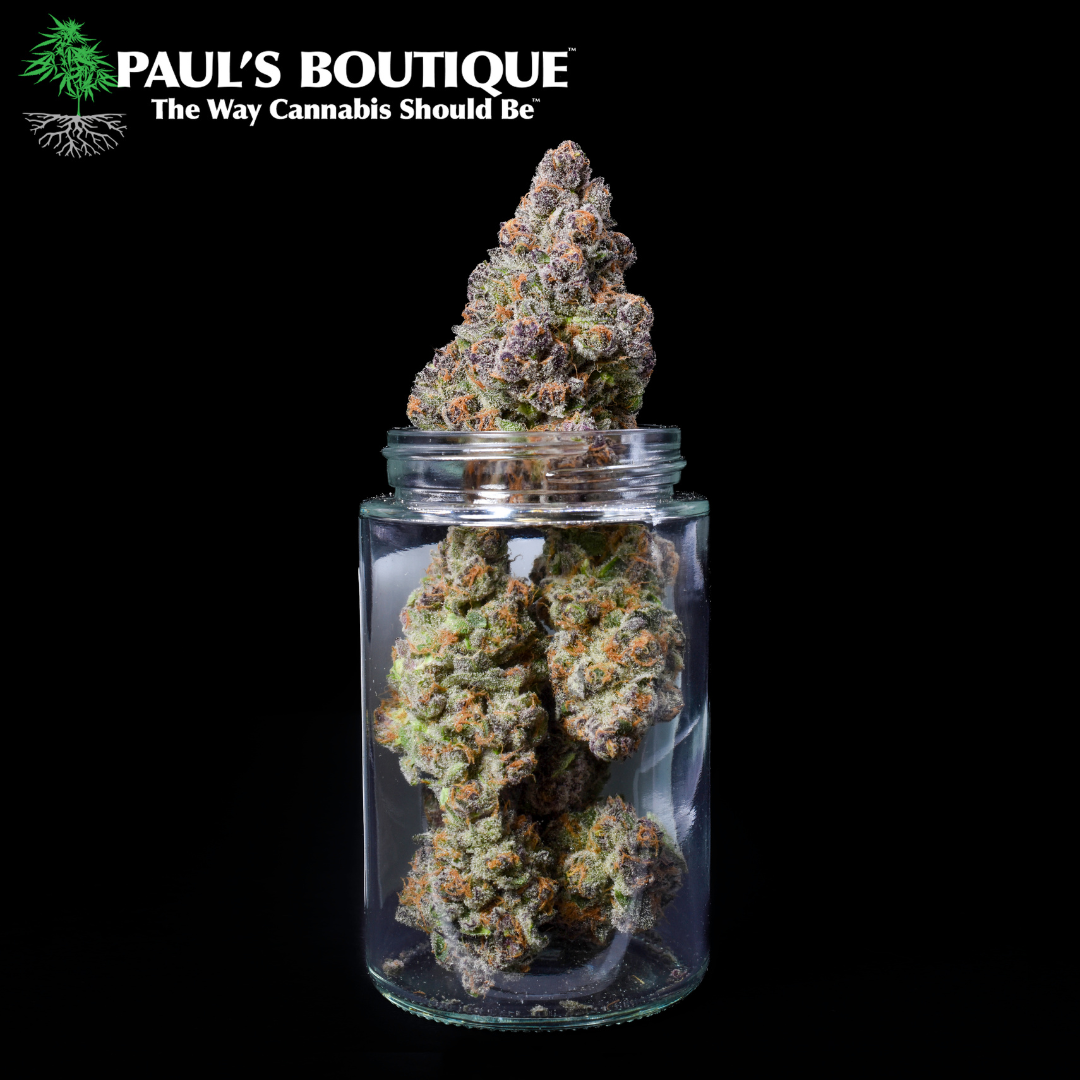 Photograph of Product: Paul's Boutique - Thai x ECSD Cryo Kush - 3.5g