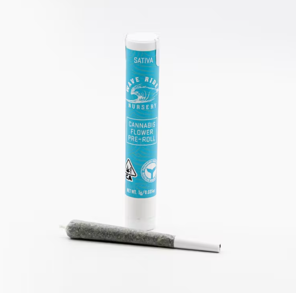 Photograph of product: Orange (S) 1g PREROLL - Wave Rider