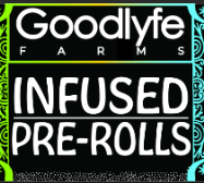 Photograph of product: Goodlyfe - Infused Prerolls - Cereal Milk