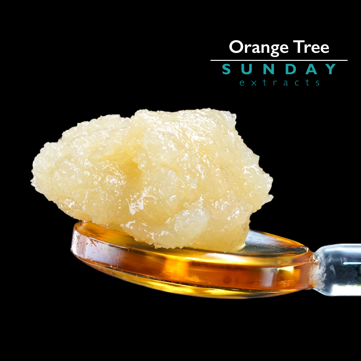 Photograph of product: Orange Tree - Sunday Concentrate