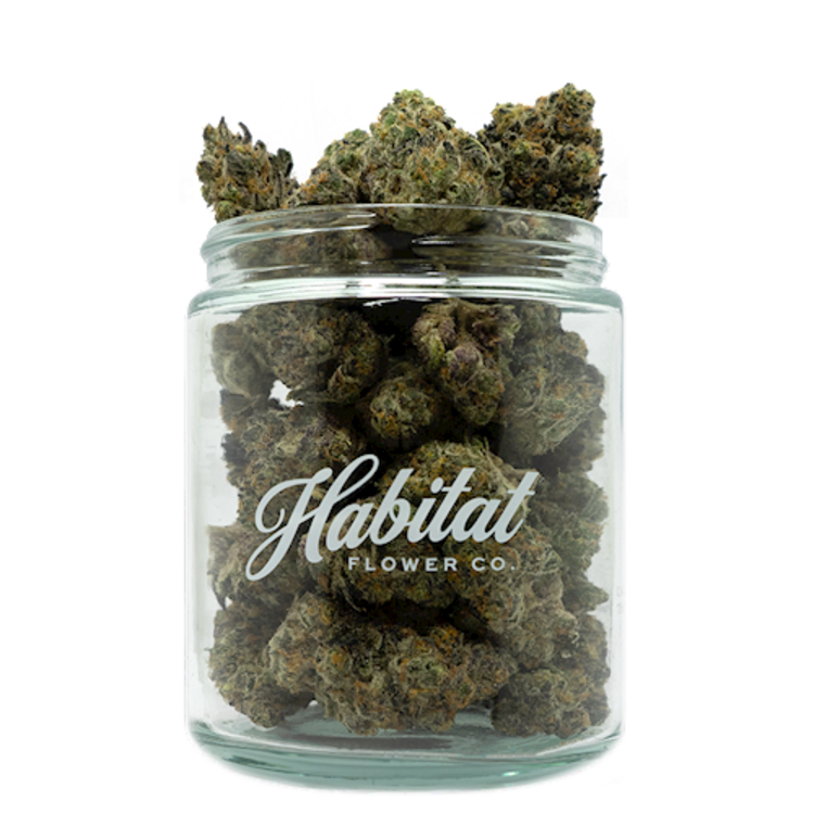 Photograph of Product: Agua De Jamaica Flower | 3.5g