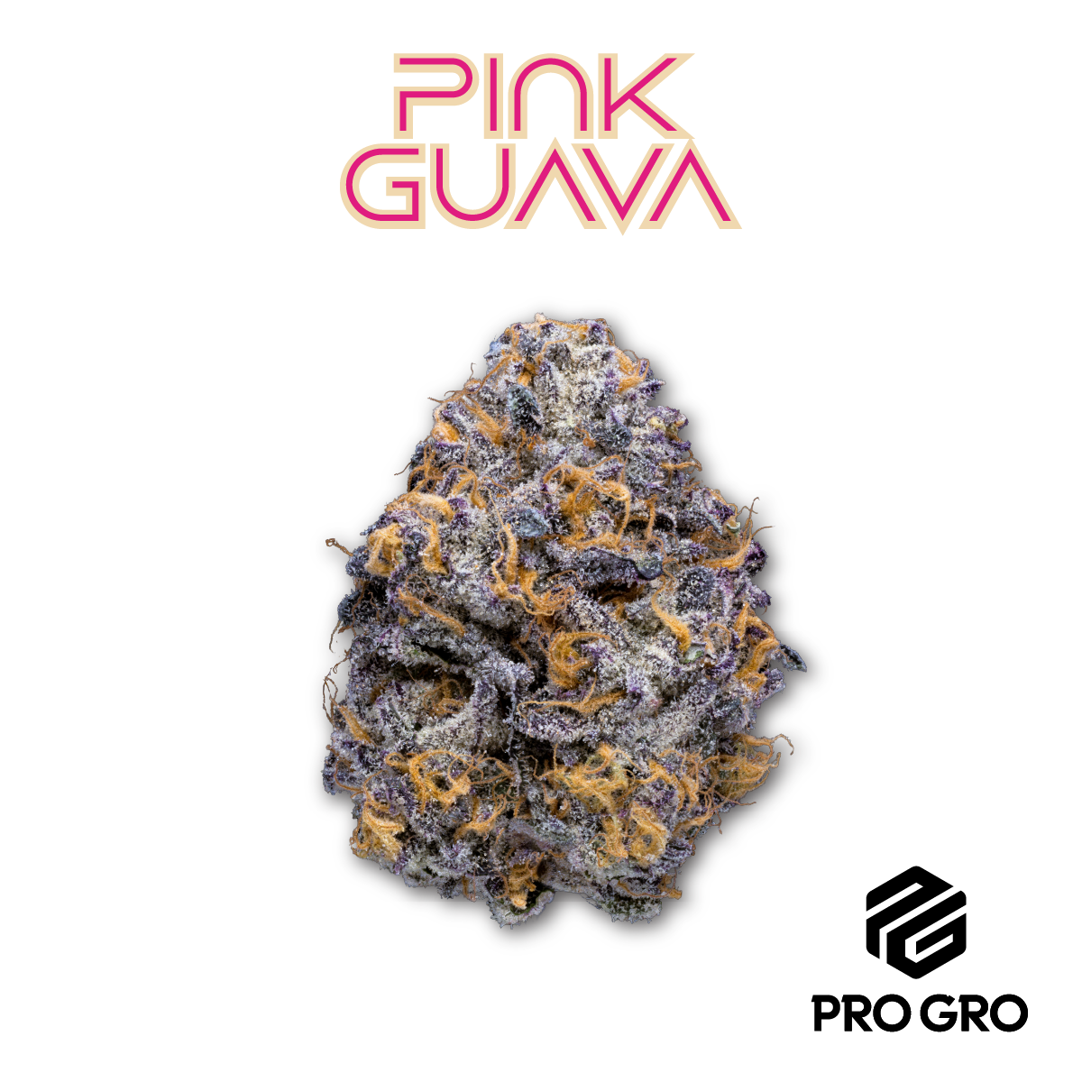 Photograph of product: Pro Gro | Pink Runtz - 28g