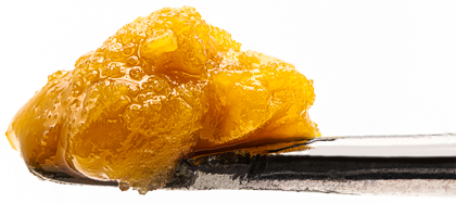 Photograph of product: WVA | CURED BADDER | AMNESIA HAZE