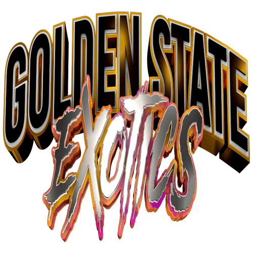 Photograph of product: Golden State Exotics| Punch 1g Vape Cartridge