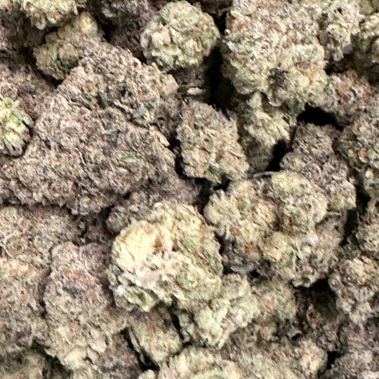 Photograph of product: Modified Grapes - Indoor Flower - Kaprikorn - Harvested: 4/14/25 - 1g