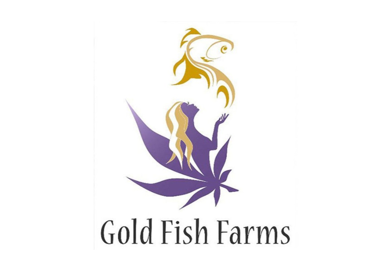 Photograph of product: Gold Fish Farms - Forbidden Love Rosin - 1g