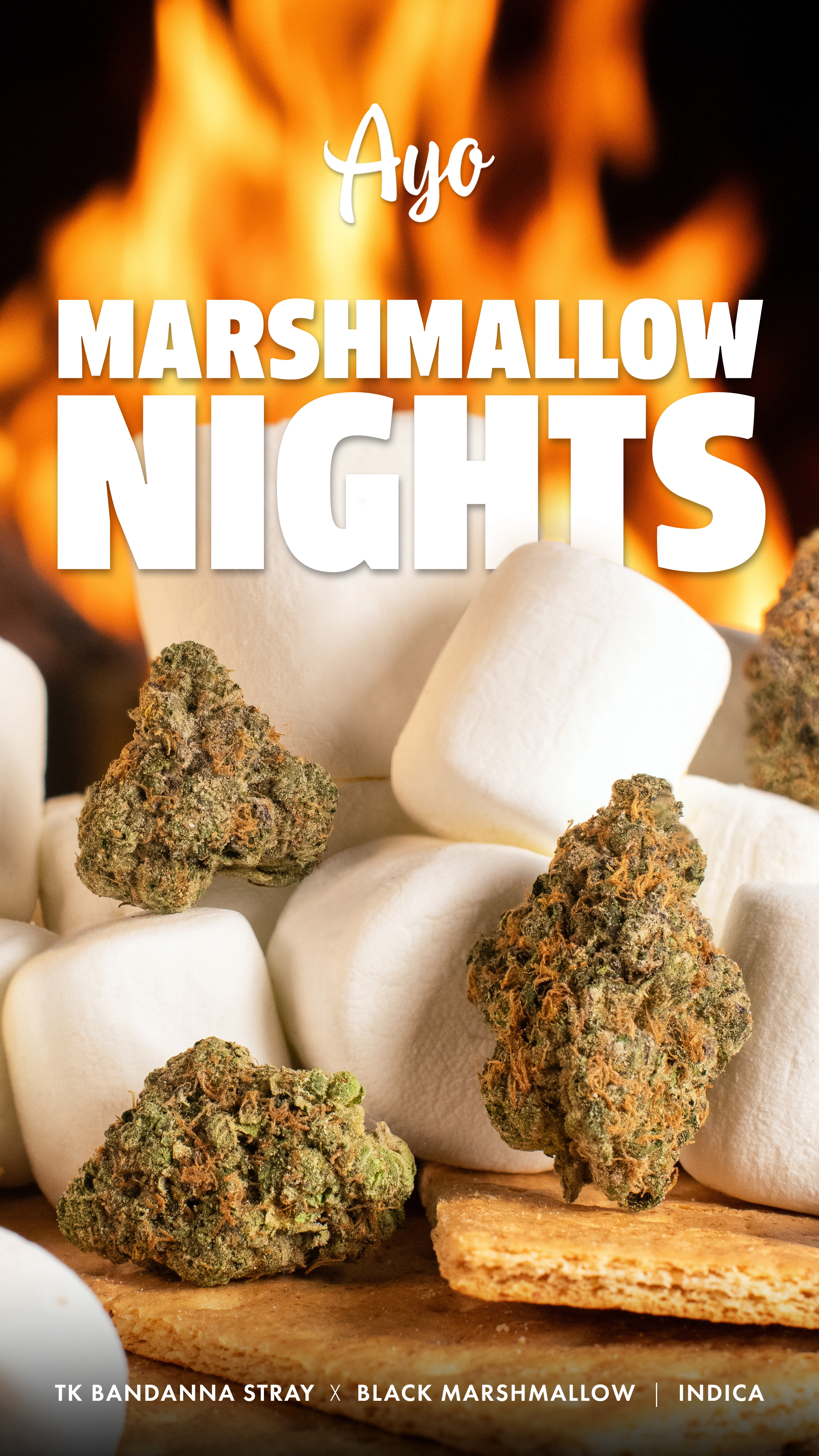 Photograph of product: MARSHMALLOW NIGHTS | PREPACK FLOWER - 3.5g