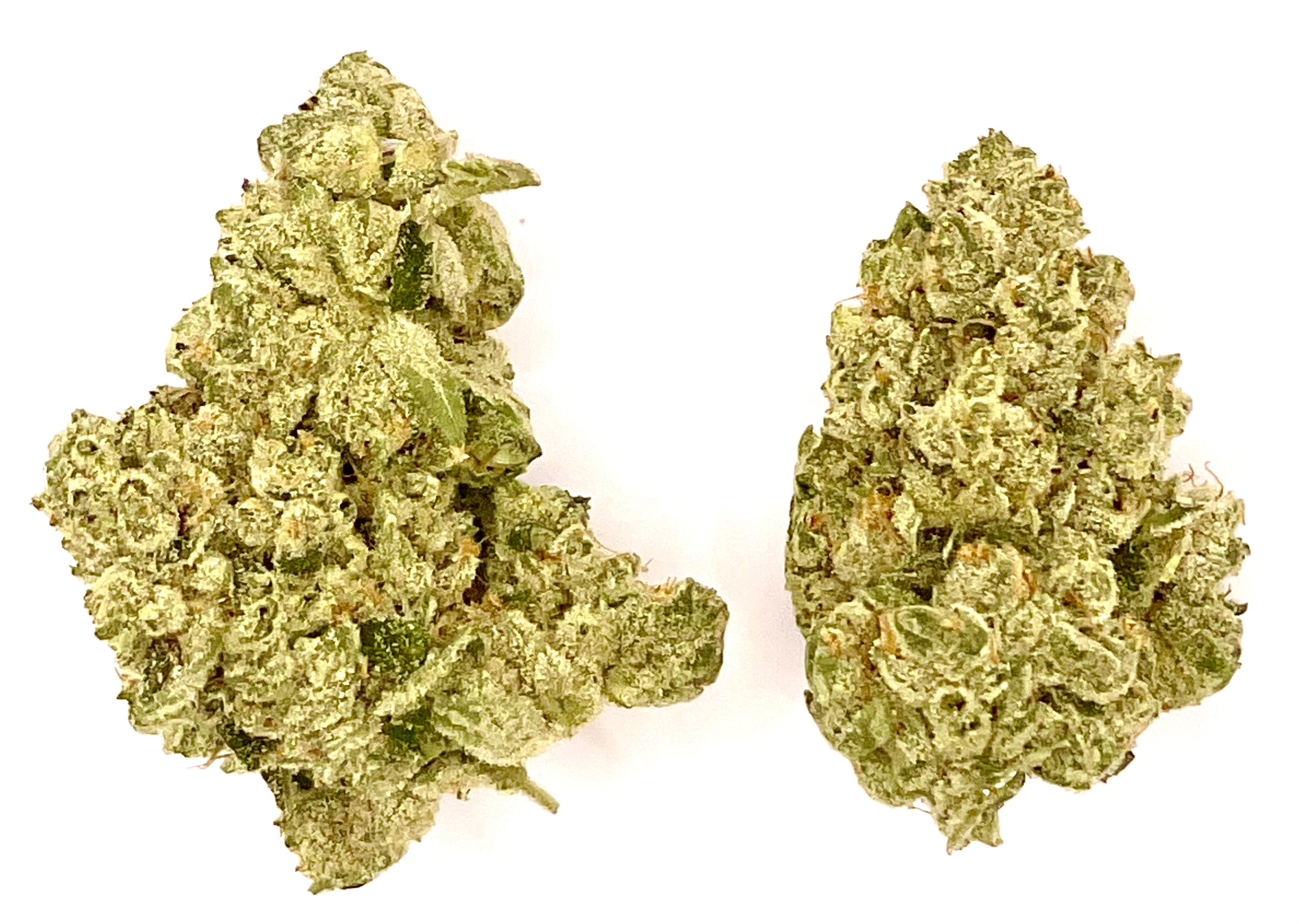 Photograph of product: Buds | Holy Grail - 2g