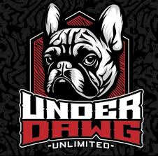 Photograph of product: UnderDawg - Chi Town - Terp Sugar