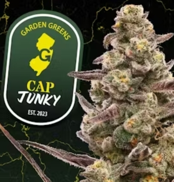 Photograph of product: Garden Greens - Cap Junky - 3.5g - Flower