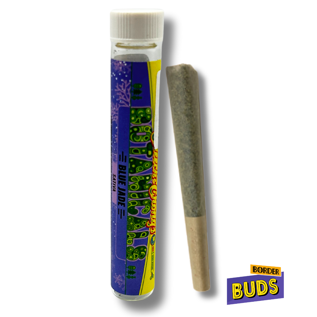 Photograph of product: Blue Jade | Cheech & Chong | 1.2g | Cryo Infused Pre-Roll
